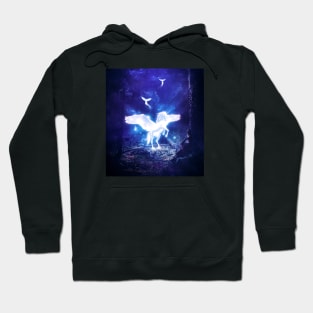 Spiritual connection pegasus Hoodie